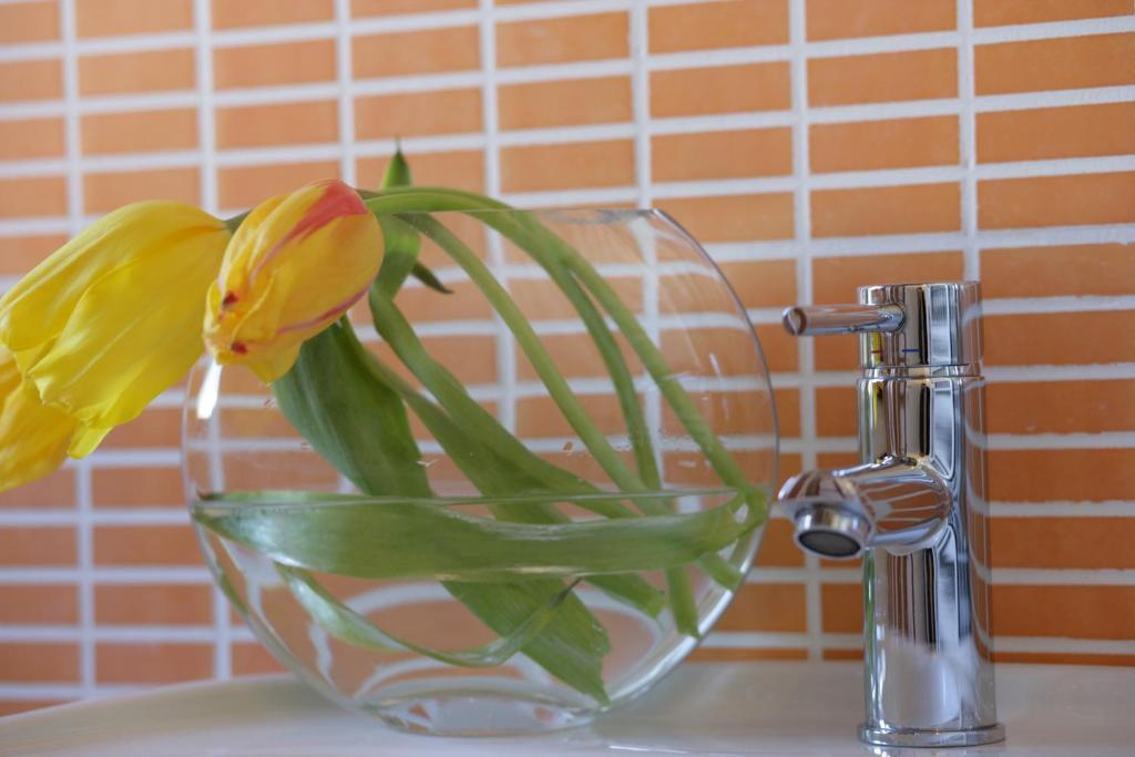 I Colori Del Vento B&B Valderice Buitenkant foto